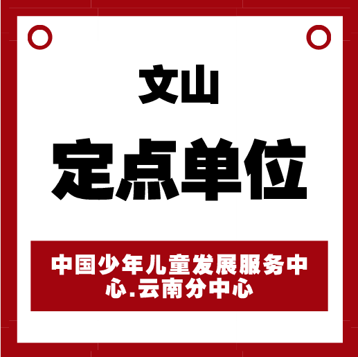 文山定点单位